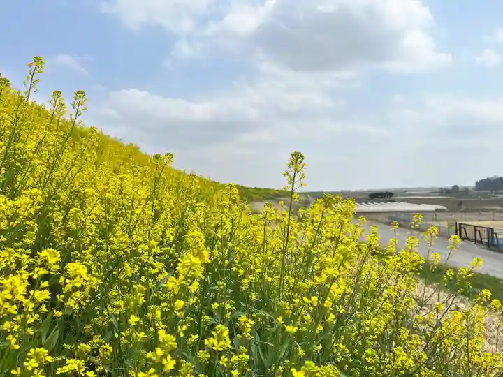 布施弁天 東海寺(千葉県)