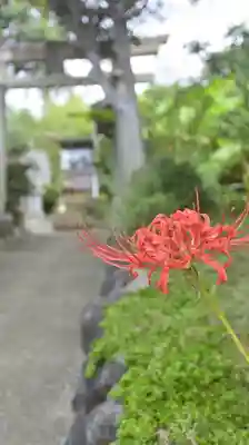 横浜御嶽神社(神奈川県)