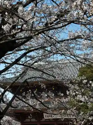 池上本門寺の{uncategorized: "未分類", other: "その他", undefined: "問題あり", building: "その他建物", grave: "お墓", sacred_gate: "鳥居", guardian: "狛犬", statue: "像", buddha: "仏像", history: "歴史", nature: "自然", garden: "庭園", animal: "動物", pagoda: "塔", temizu: "手水舎", mountain_gate: "山門・神門", sanctuary: "本殿・本堂", subordinate: "末社・摂社", art: "芸術", scenery: "景色", jizo: "地蔵", ema: "絵馬", goshuin: "御朱印", omikuji: "おみくじ", items: "授与品その他", amulet: "お守り", goshuincho: "御朱印帳", eats: "食事", festival: "お祭り", votive_dance: "神楽", shichigosan: "七五三参", wedding: "結婚式", experience: "体験その他", initially: "初詣", around: "周辺", anti_infection: "感染症対策"}