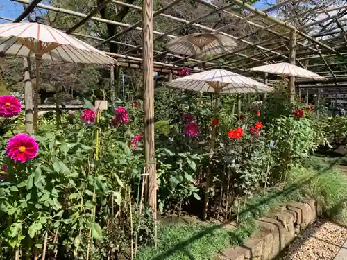 上野東照宮の自然