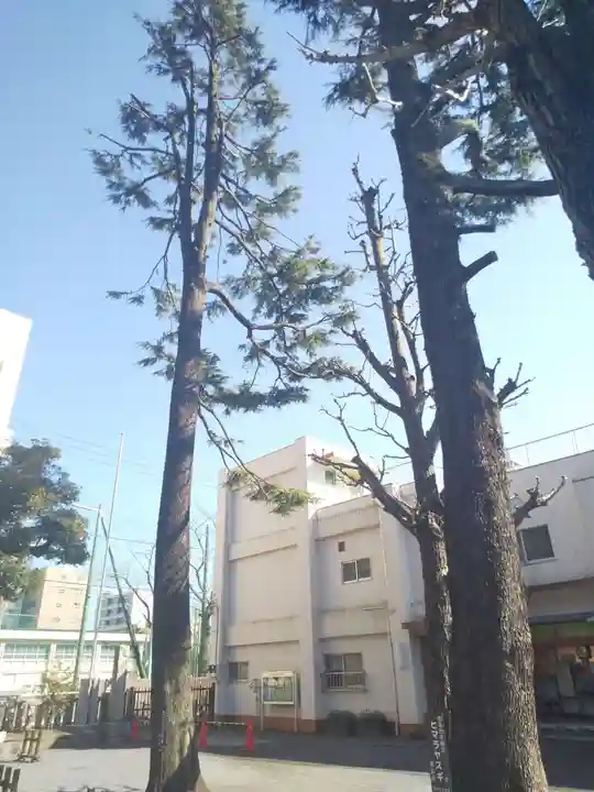 お三の宮日枝神社の自然