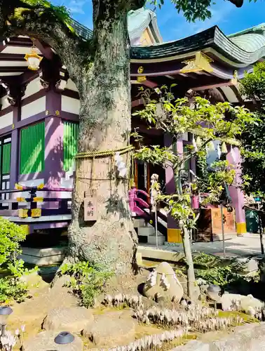 高木神社の自然