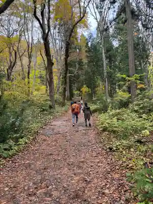 戸隠神社奥社(長野県)
