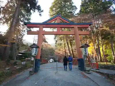 日吉大社の鳥居