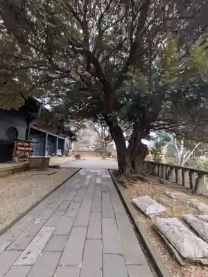 湯島聖堂(東京都)