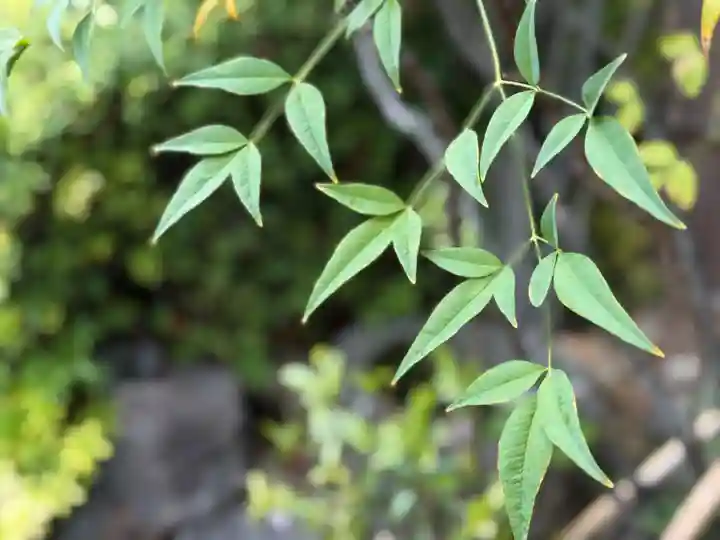 西方山極楽寺(岐阜県)