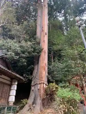 宇太水分神社（中社）(奈良県)