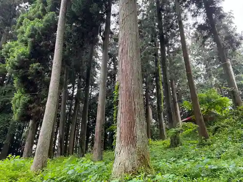 大宮温泉神社(栃木県)