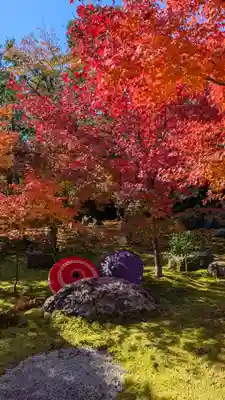 勝林寺(京都府)