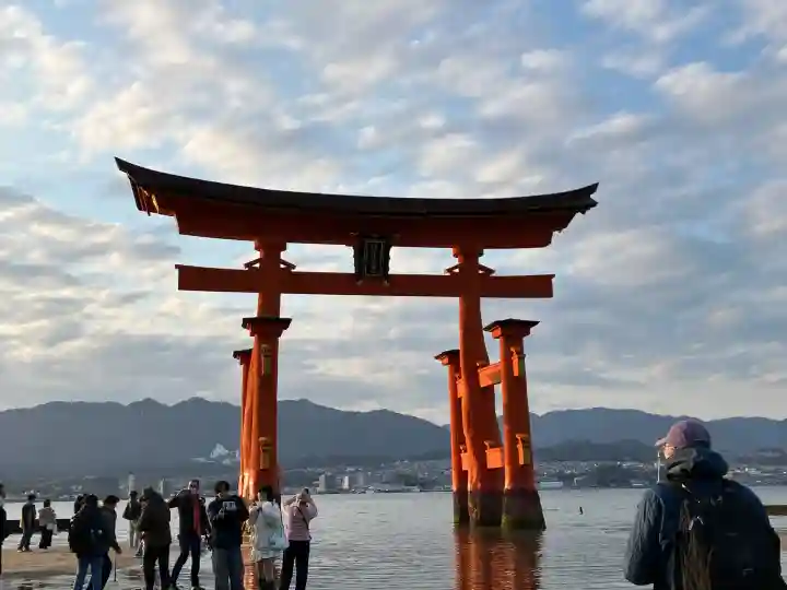 厳島神社の{uncategorized: "未分類", other: "その他", undefined: "問題あり", building: "その他建物", grave: "お墓", sacred_gate: "鳥居", guardian: "狛犬", statue: "像", buddha: "仏像", history: "歴史", nature: "自然", garden: "庭園", animal: "動物", pagoda: "塔", temizu: "手水舎", mountain_gate: "山門・神門", sanctuary: "本殿・本堂", subordinate: "末社・摂社", art: "芸術", scenery: "景色", jizo: "地蔵", ema: "絵馬", goshuin: "御朱印", omikuji: "おみくじ", items: "授与品その他", amulet: "お守り", goshuincho: "御朱印帳", eats: "食事", festival: "お祭り", votive_dance: "神楽", shichigosan: "七五三参", wedding: "結婚式", experience: "体験その他", initially: "初詣", around: "周辺", anti_infection: "感染症対策"}