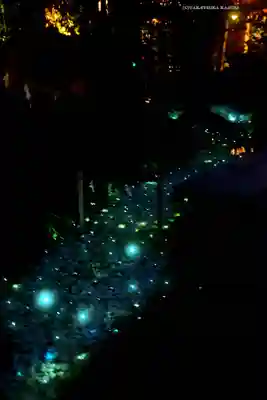 川越氷川神社(埼玉県)