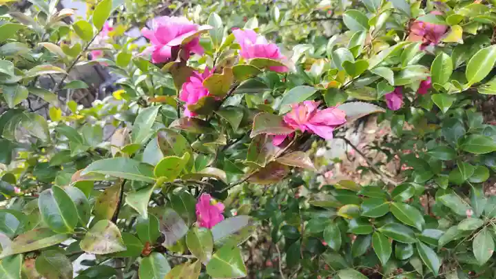 霊源院(京都府)