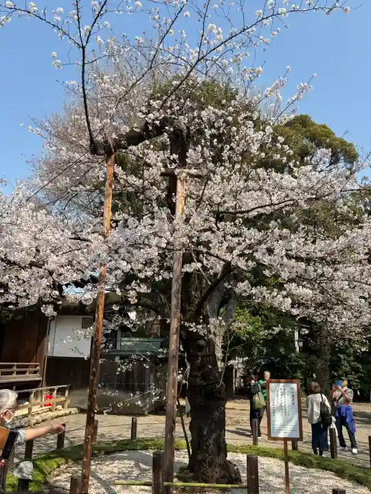 靖國神社の{uncategorized: "未分類", other: "その他", undefined: "問題あり", building: "その他建物", grave: "お墓", sacred_gate: "鳥居", guardian: "狛犬", statue: "像", buddha: "仏像", history: "歴史", nature: "自然", garden: "庭園", animal: "動物", pagoda: "塔", temizu: "手水舎", mountain_gate: "山門・神門", sanctuary: "本殿・本堂", subordinate: "末社・摂社", art: "芸術", scenery: "景色", jizo: "地蔵", ema: "絵馬", goshuin: "御朱印", omikuji: "おみくじ", items: "授与品その他", amulet: "お守り", goshuincho: "御朱印帳", eats: "食事", festival: "お祭り", votive_dance: "神楽", shichigosan: "七五三参", wedding: "結婚式", experience: "体験その他", initially: "初詣", around: "周辺", anti_infection: "感染症対策"}
