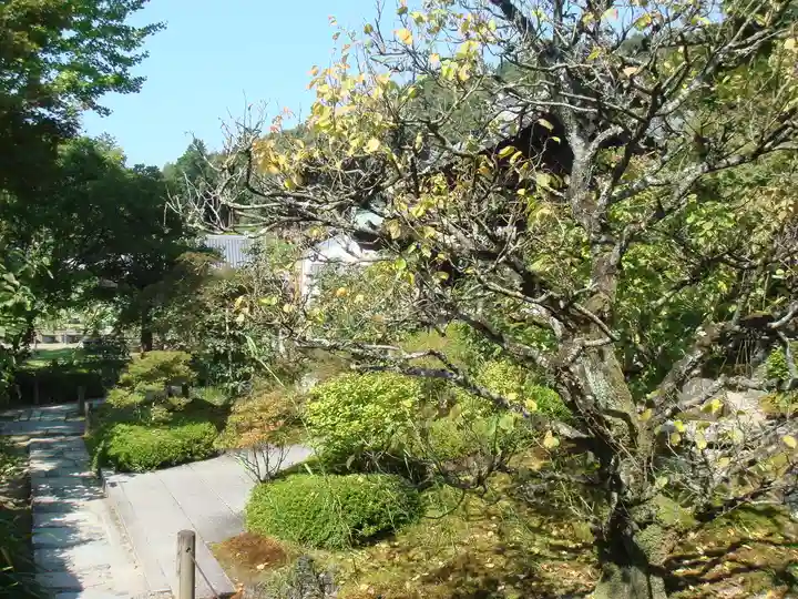 三室戸寺の自然