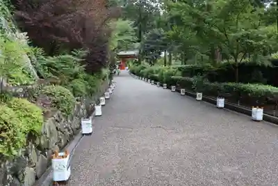 三室戸寺(京都府)