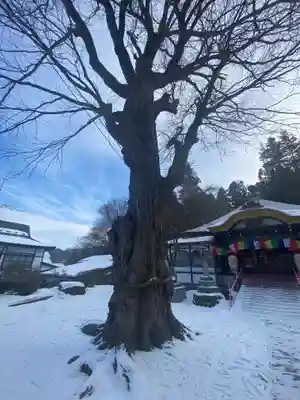 成田山安養寺の自然