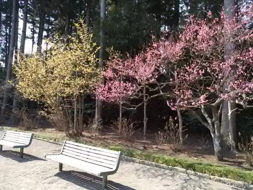 芳賀天満宮(栃木県)