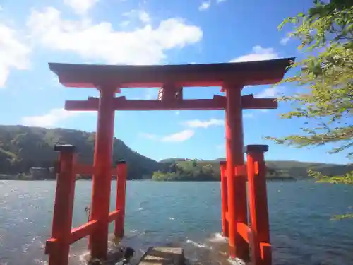 箱根神社の鳥居