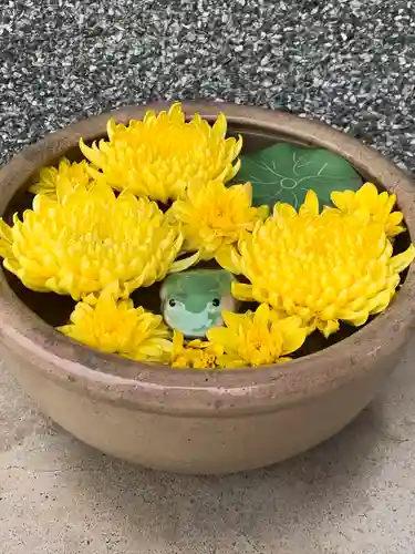 大長寺の手水舎