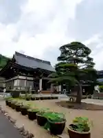 法蔵寺の本殿・本堂