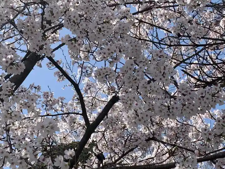 世直神社(福井県)