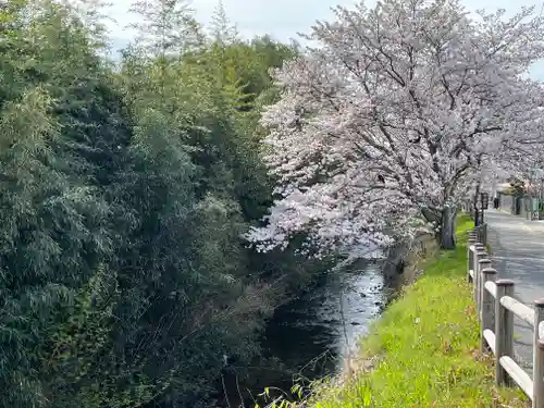 北向地蔵尊の自然