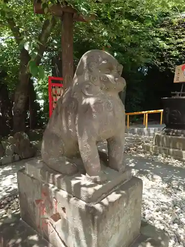 鎮守氷川神社の狛犬