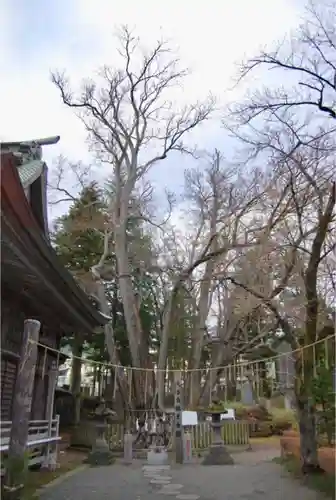 小室浅間神社の鳥居