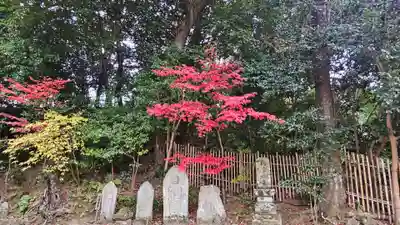 白毫寺(奈良県)