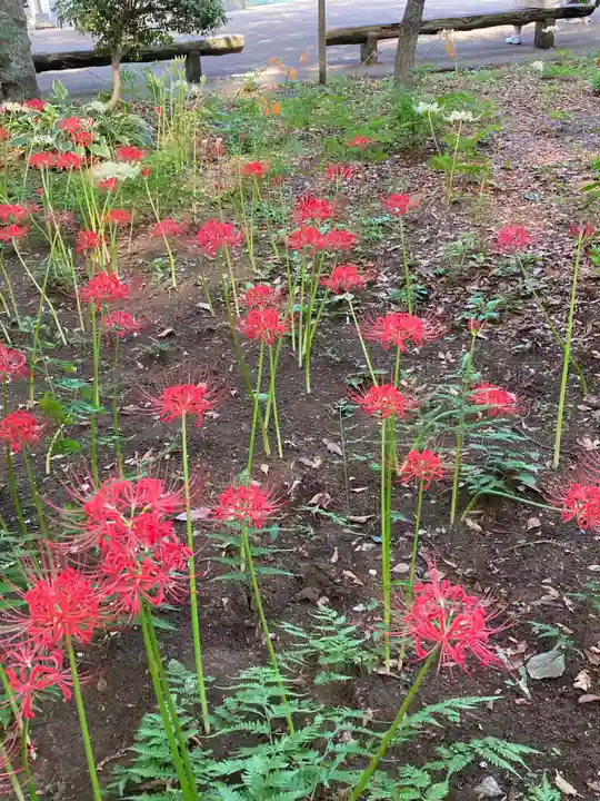 祖光院(千葉県)