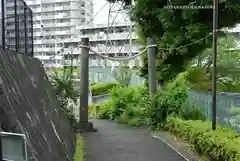 星川杉山神社(神奈川県)