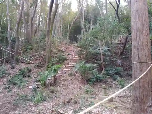 熊野神社の自然
