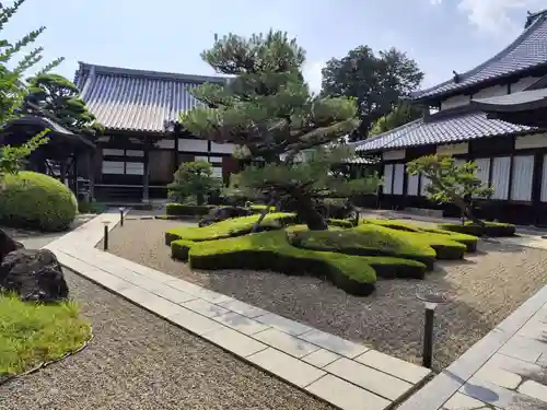 酒見寺(兵庫県)