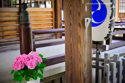 本郷氷川神社(東京都)