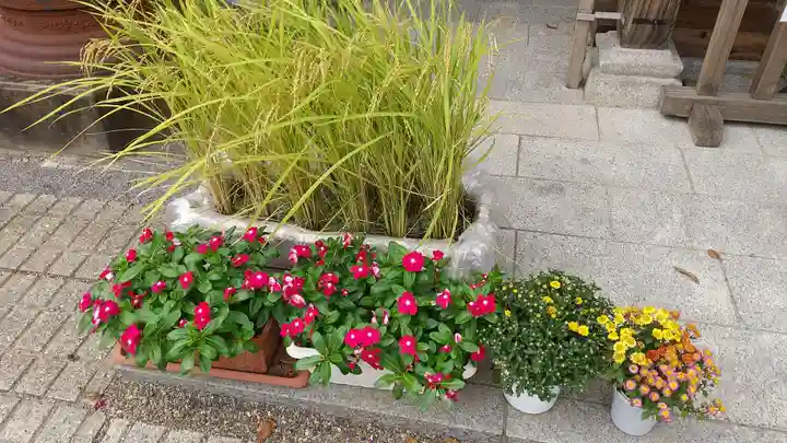 常陸第三宮 吉田神社の庭園