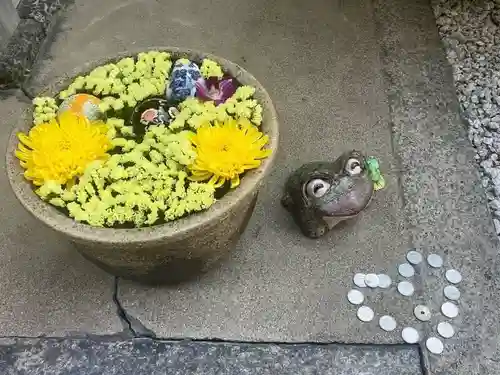 荘厳寺(京都府)