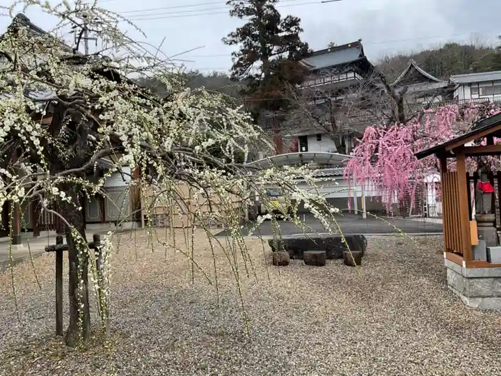 立蔵寺(岐阜県)