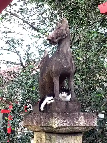 天王坊稲荷神社の狛犬