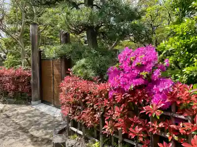薬王院(埼玉県)