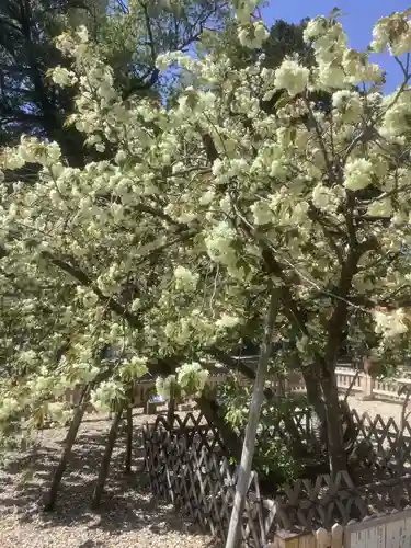 上地八幡宮の庭園