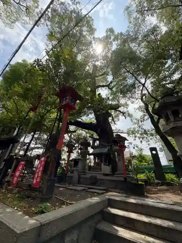 若一神社(京都府)