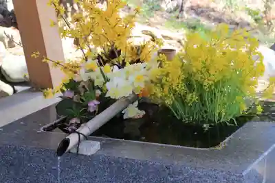 高司神社〜むすびの神の鎮まる社〜の手水舎