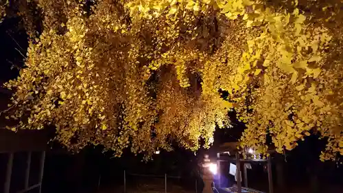 丹生酒殿神社の自然