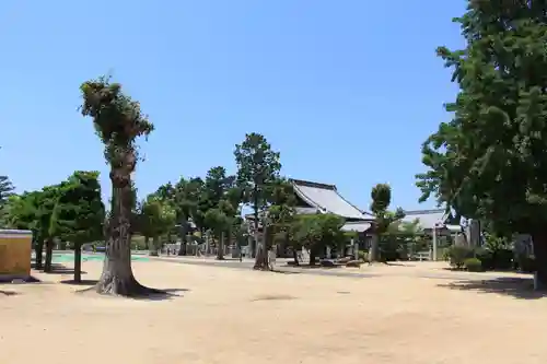 金倉寺のその他建物