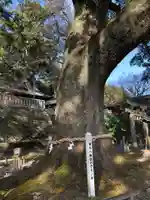 事任八幡宮の自然