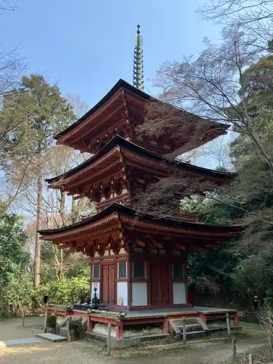 浄瑠璃寺(京都府)