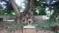 三熊神社の建物その他