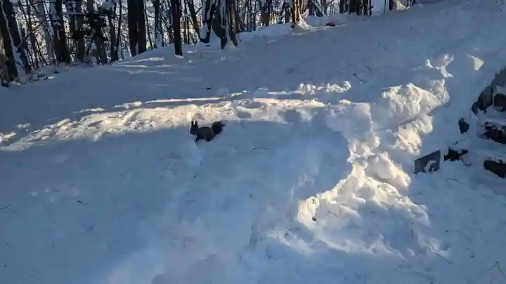 上川神社の動物