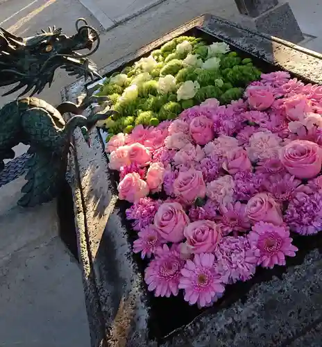 総願寺の手水舎