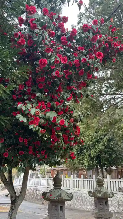 由加神社(和気由加神社)(岡山県)